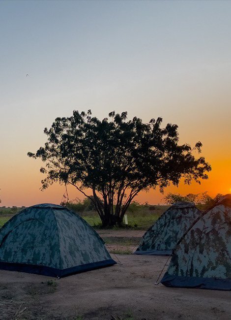 Camping & Bonfire Experience