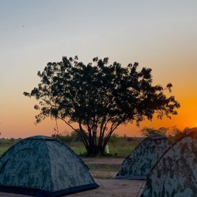 Camping & Bonfire Experience